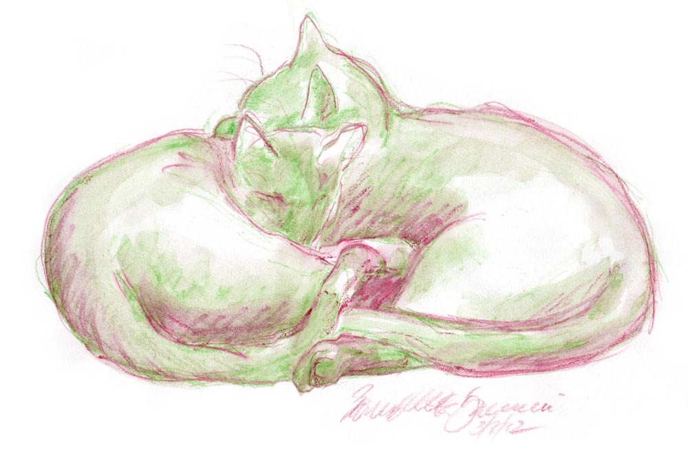 watercolor and pencil sketch of two cats cuddling
