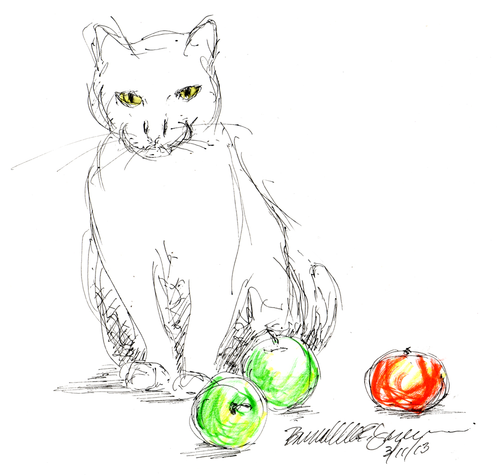 sketch of cat with fruit