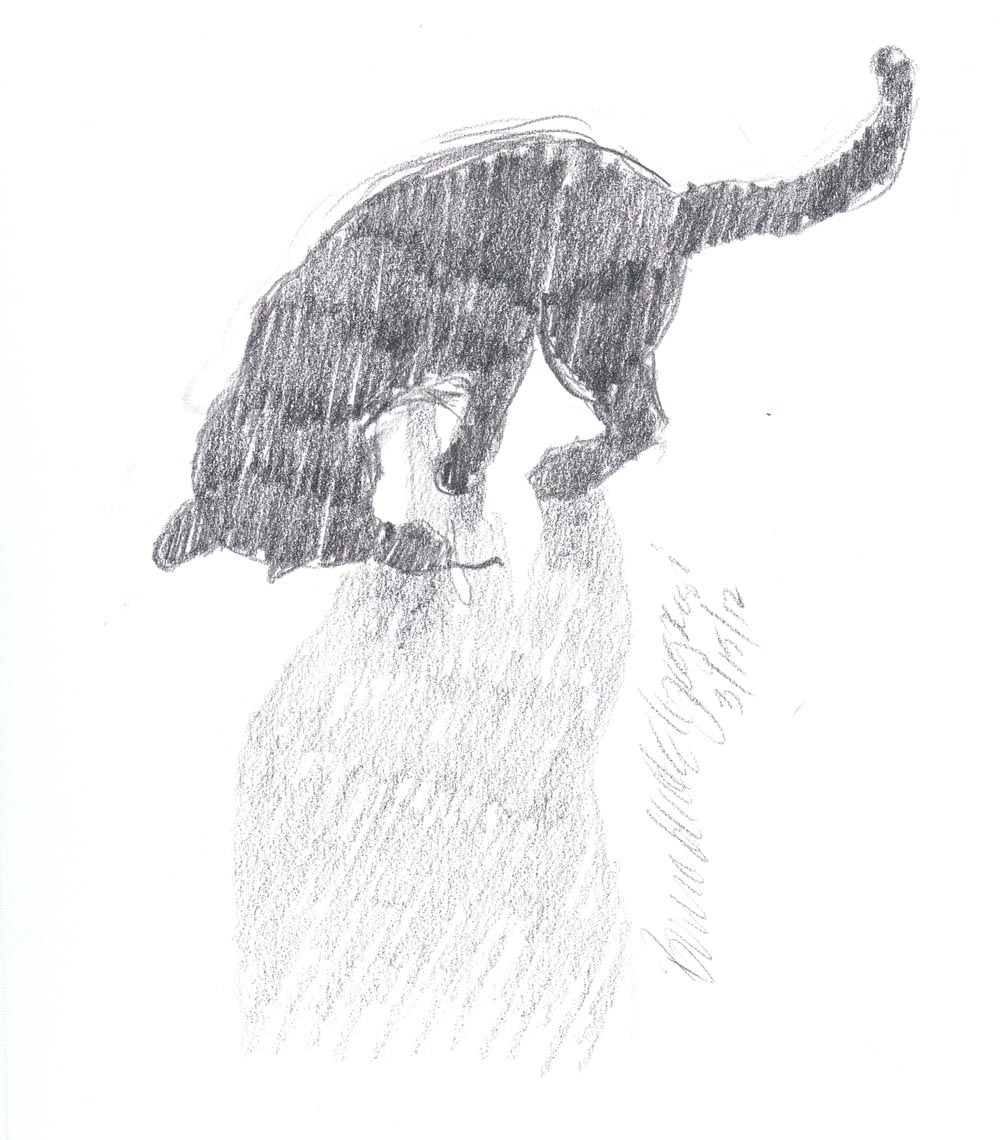 pencil sketch of cat silhouette