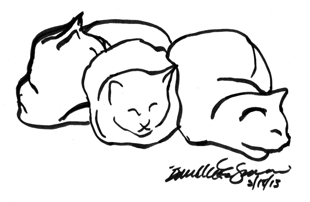 marker sketch of three cats