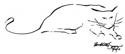 marker sketch of cat