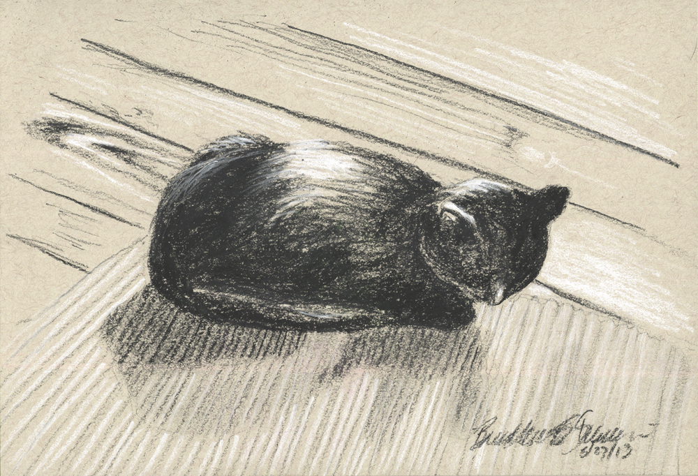 charcoal drawing of cat on floor