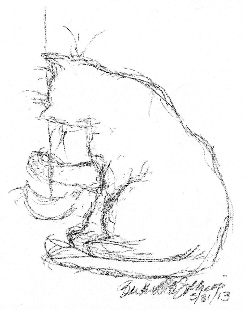 charcoal sketch of cat with toy