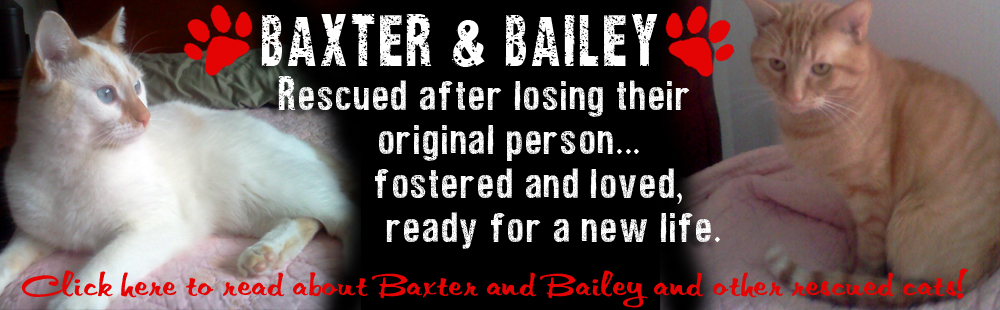 BaxterBailey-icon
