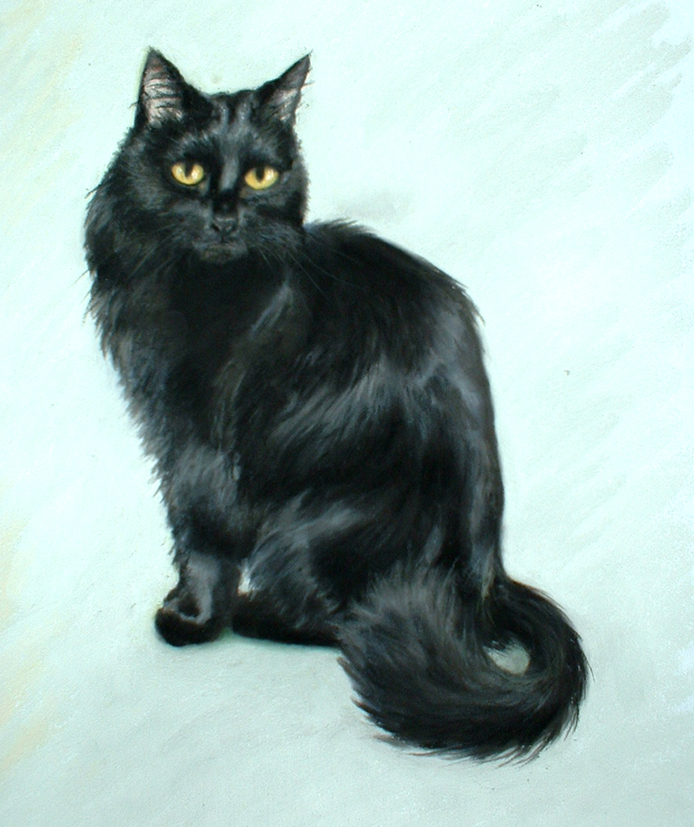 pastel portait of long-haired black cat