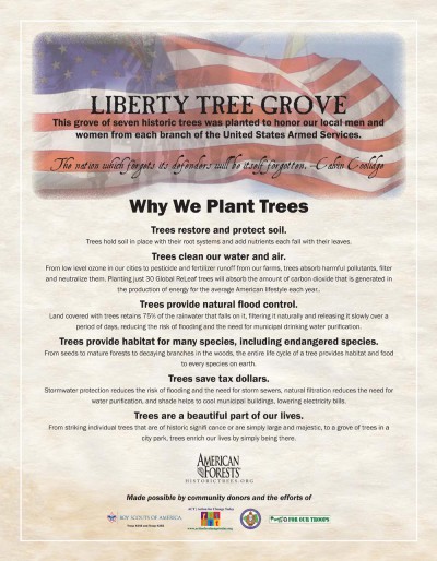 About planting trees for the Liberty Tree Grove.
