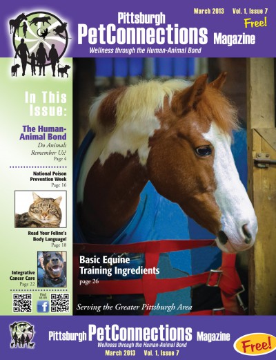 cover of pittsburgh petconnections magazine