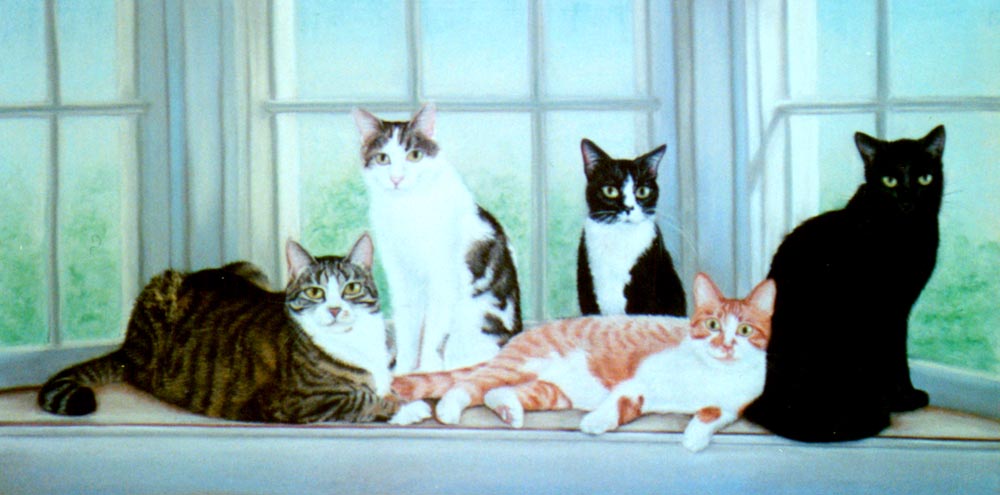 portrait of five cats
