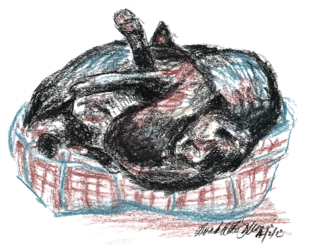 pastel sketch of three cats in a bed