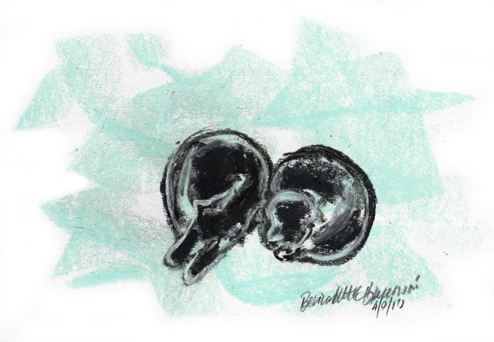 pastel sketch of two black cats