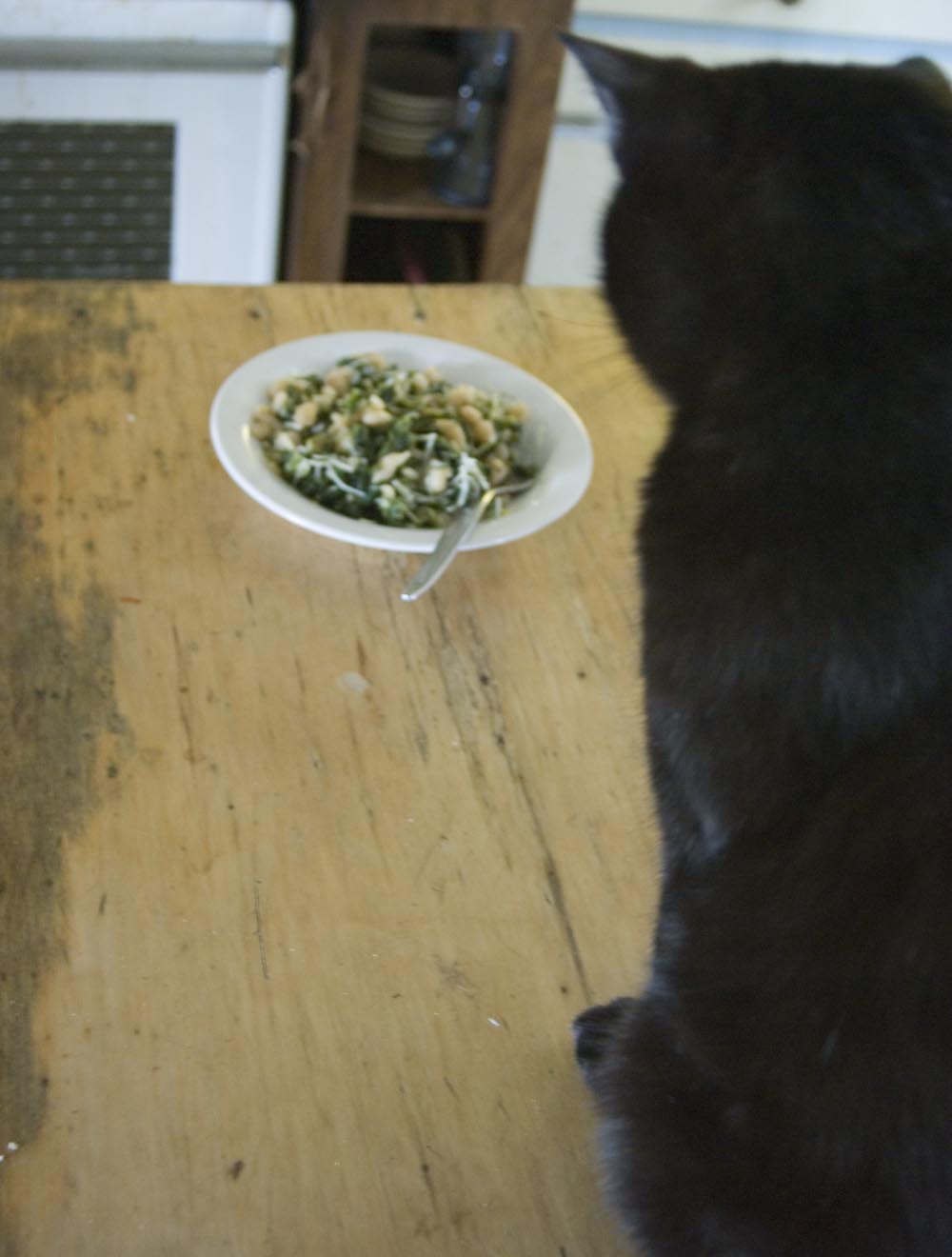 black cat with beans and greens