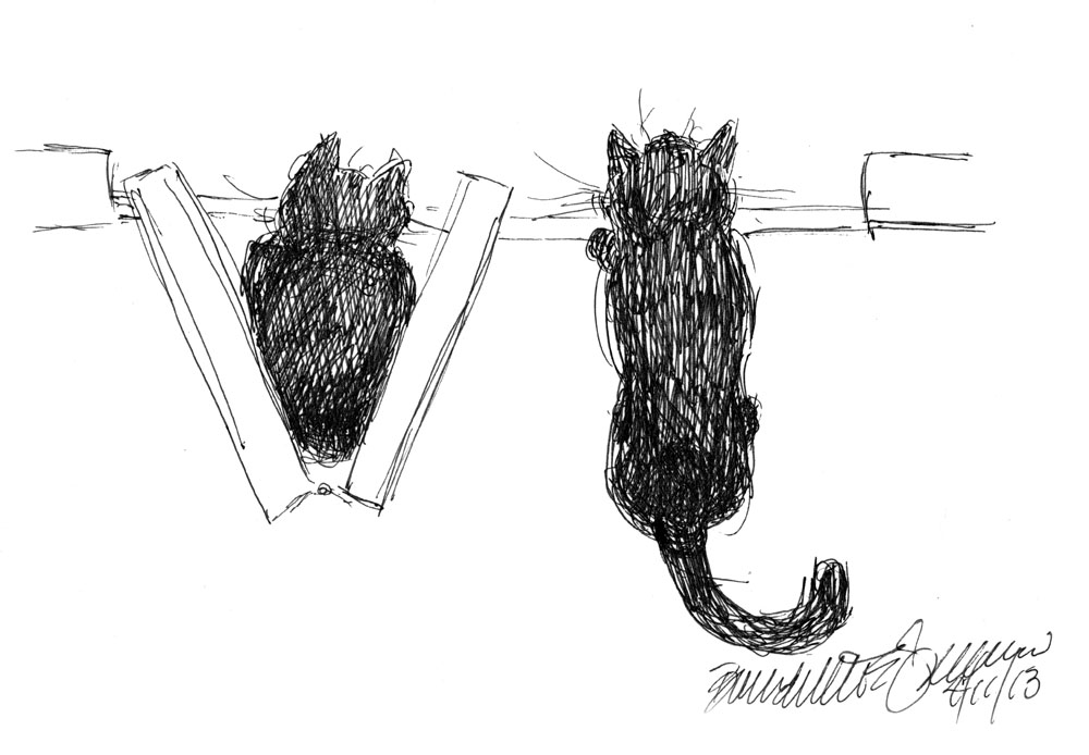 cartoon of two black cats