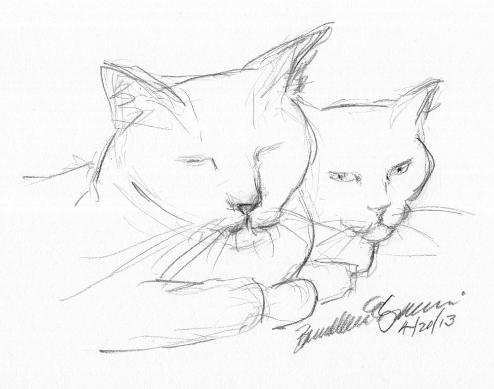 pencil sketch of two cats