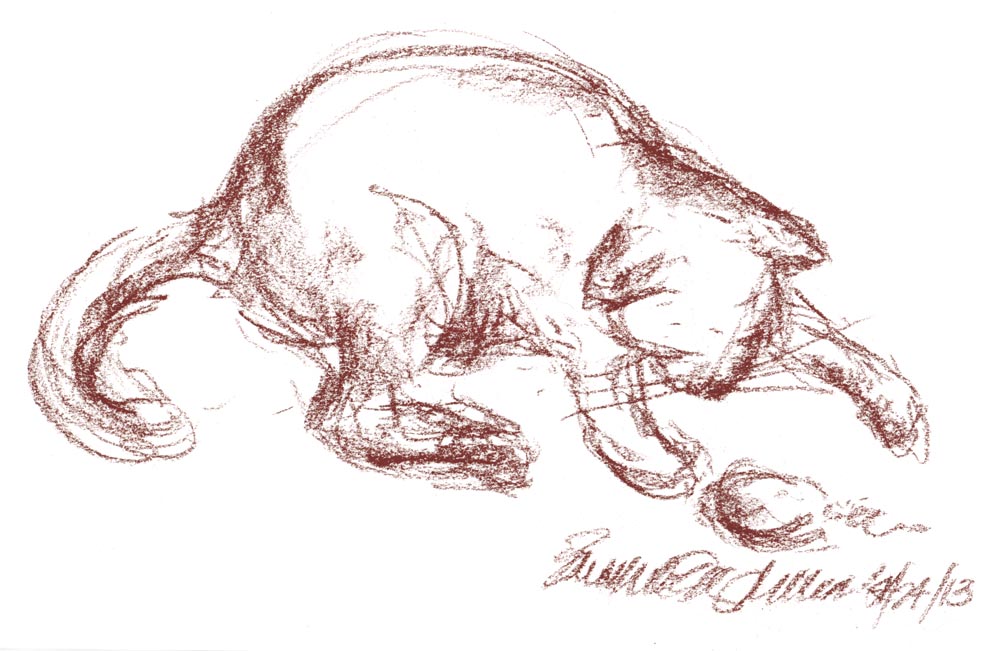 conte sketch of cat playing