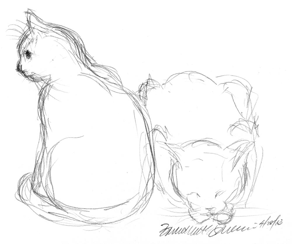 pencil sketch of two cats