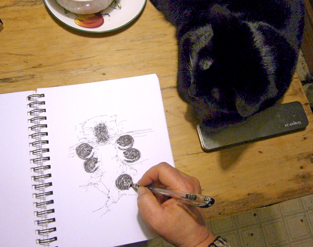 black cat watching sketch
