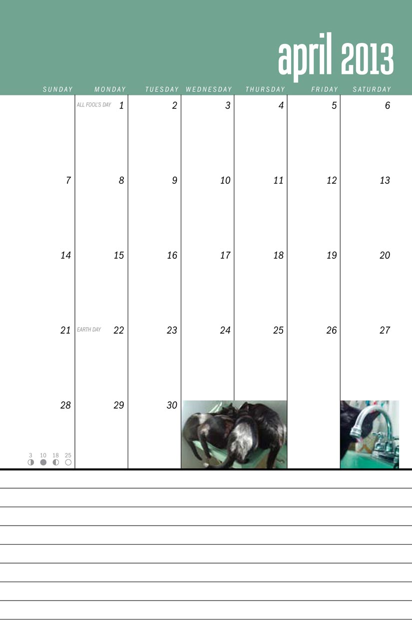 page from calendar compositions in black and green
