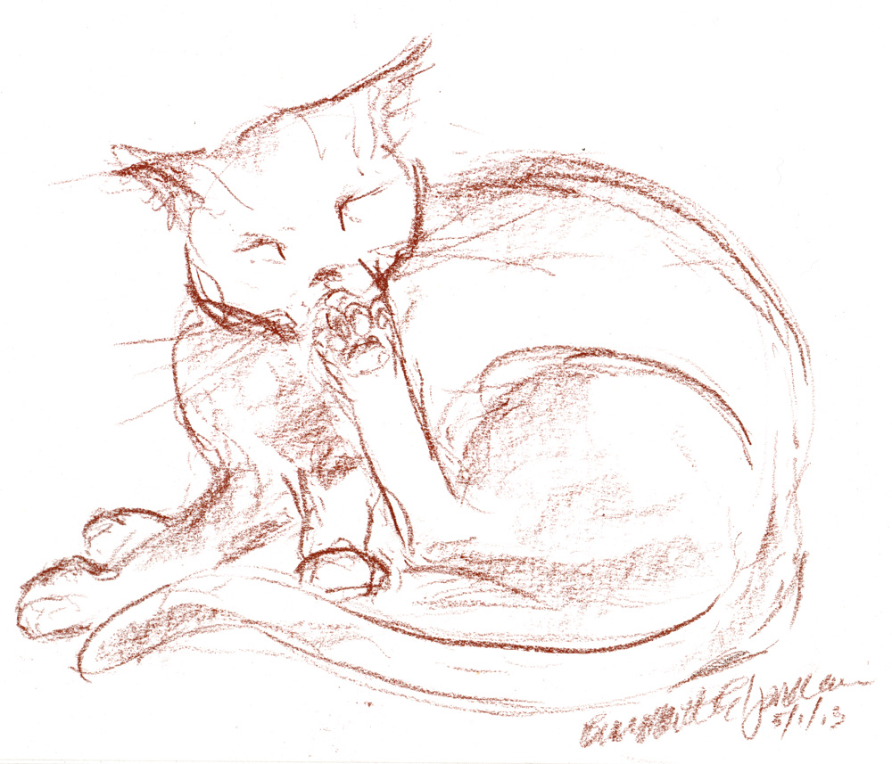 conte sketch of cat cleaning toes