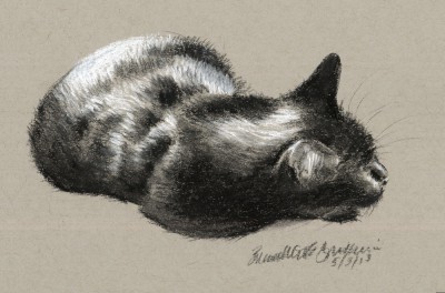 charcoal sketch of cat sleeping