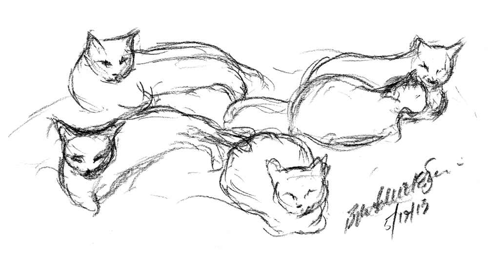 charcoal sketch of five cats