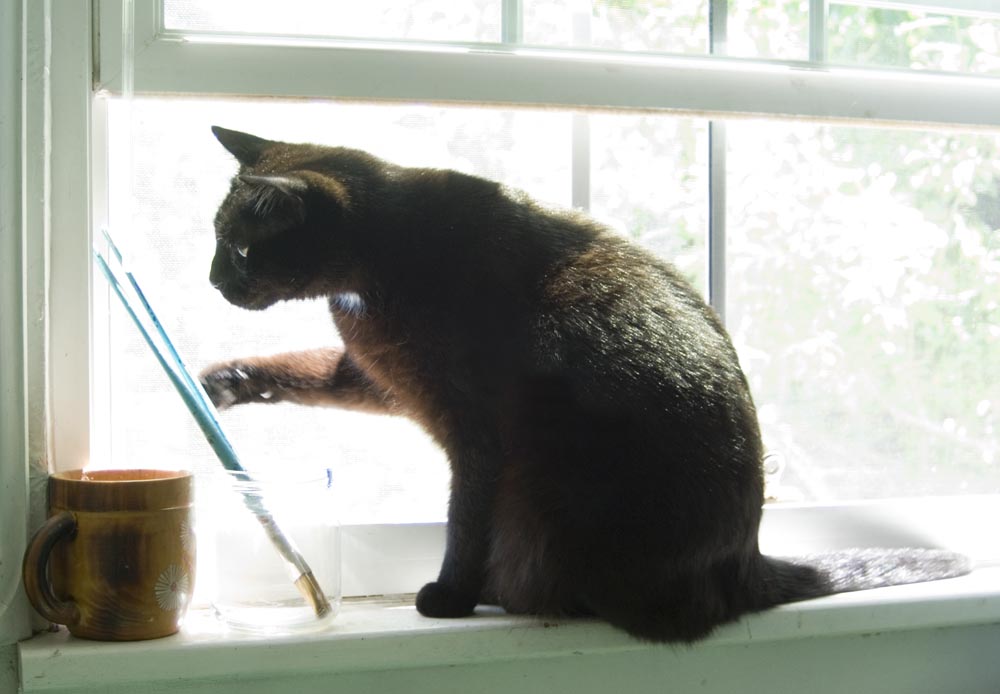 black cat on windowsill with paintbrushes