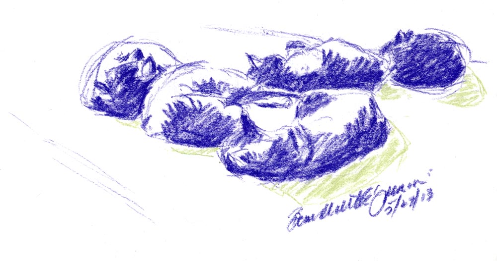 pastel sketch of cats sleeping