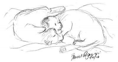 charcoal sketch of two cats sleeping