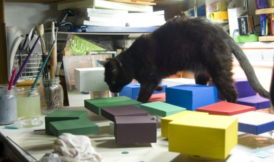 black cat with colored boxes