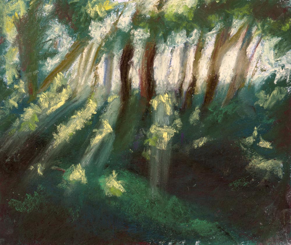 painting of trees with light