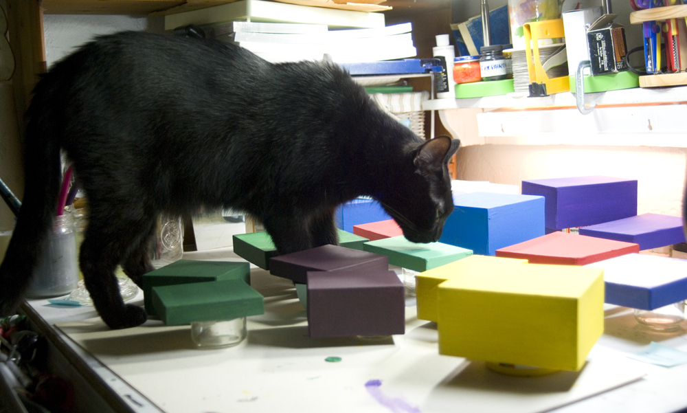 black cat with colored boxes