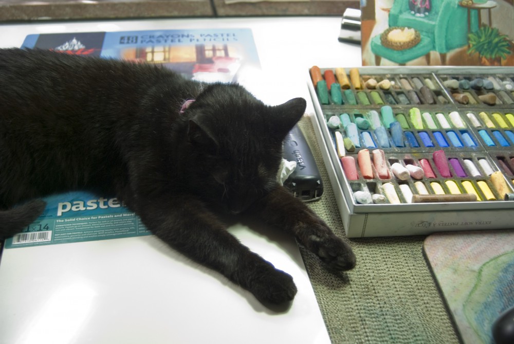 black cat on art table