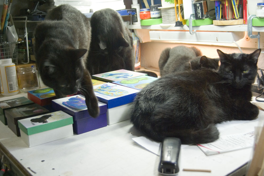 four black cats on table