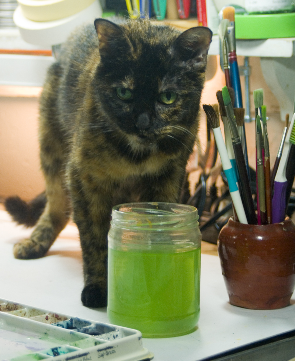 tortoiseshell cat with paint water