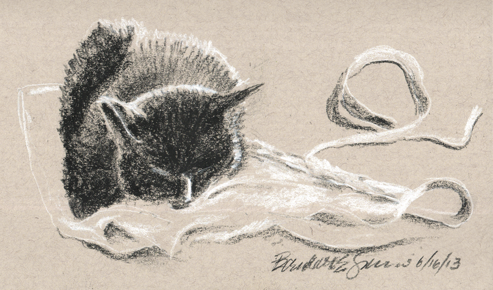charcoal sketch of cat