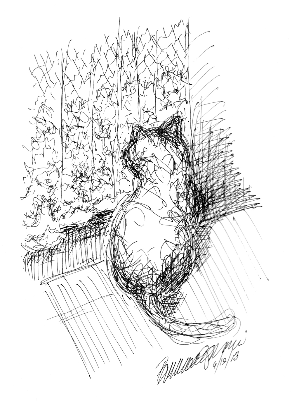 ink sketch of cat looking out door