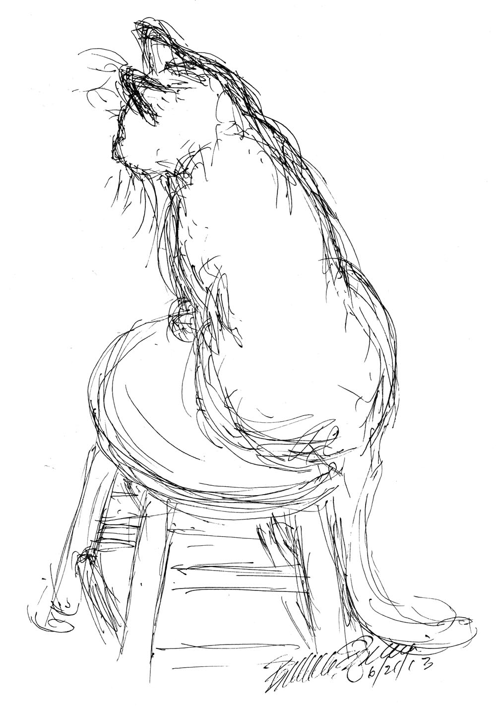ink sketch of cat on stool