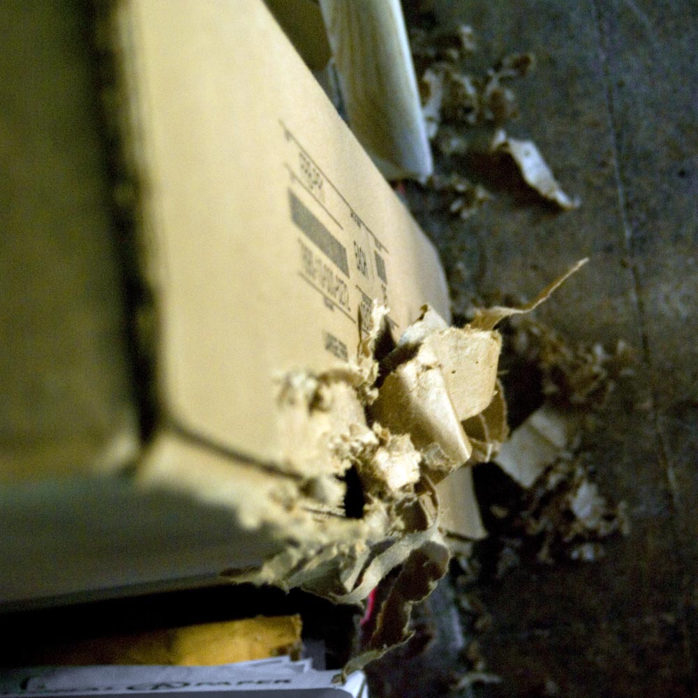 cardboard box with claw marks.