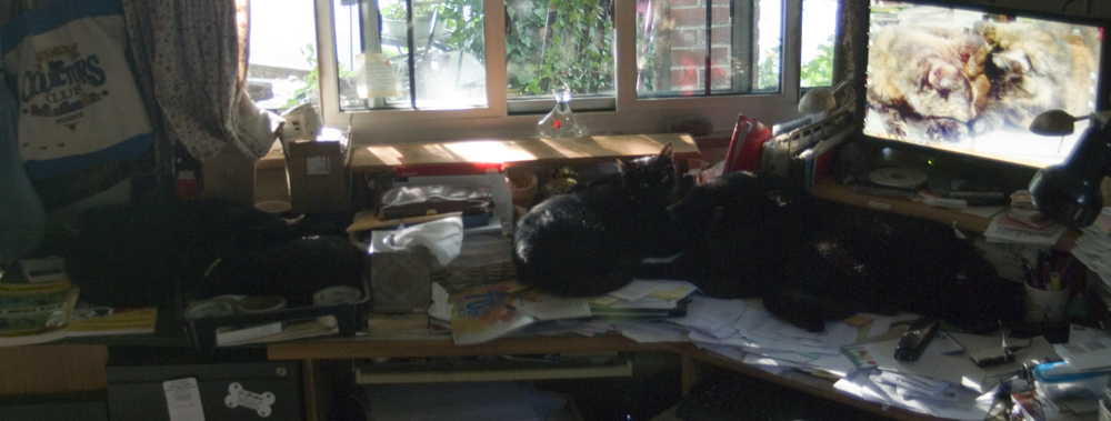 five black cats on desk.