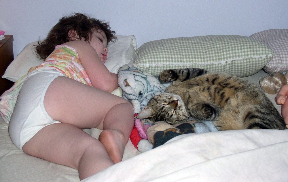 little girl sleeping with cat