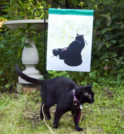 black cat with garden flag