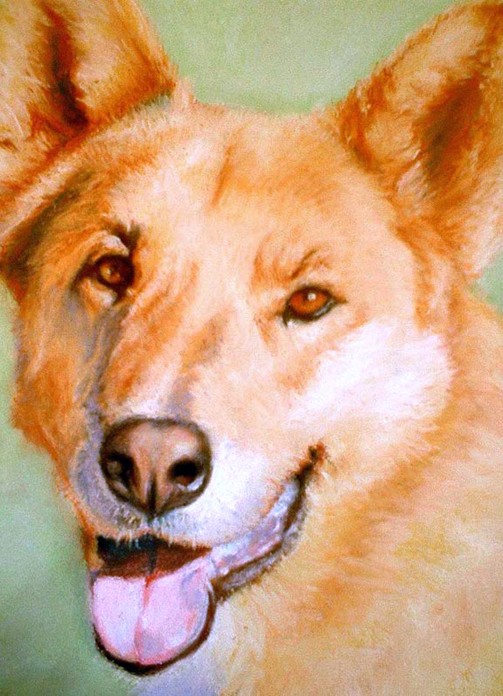 detail of portrait of dog