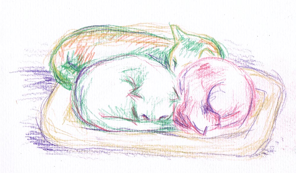 "Colorful Cuddling Kitties", watercolor pencil (before the water), 5" x 7" © B.E. Kazmarski