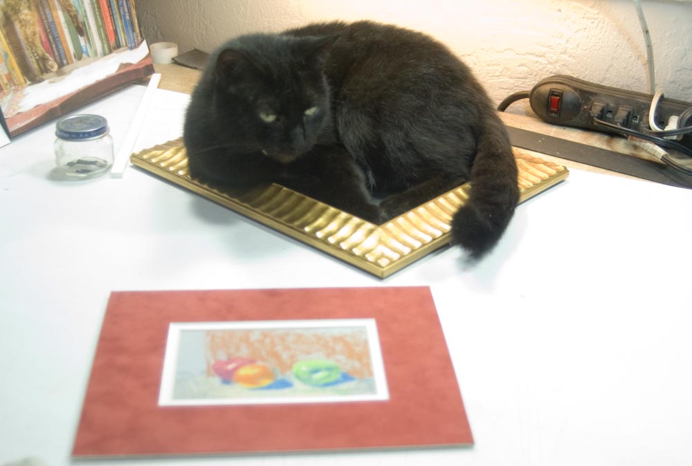 black cat in picture frame