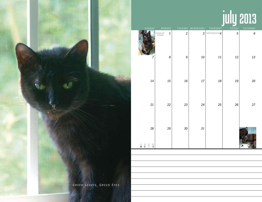 black cats in calendar