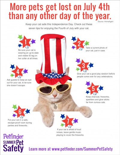 Petfinder 4th of july info