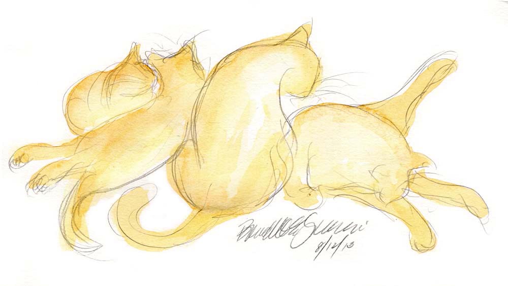 watercolor and pencil sketch of four cats bathing.