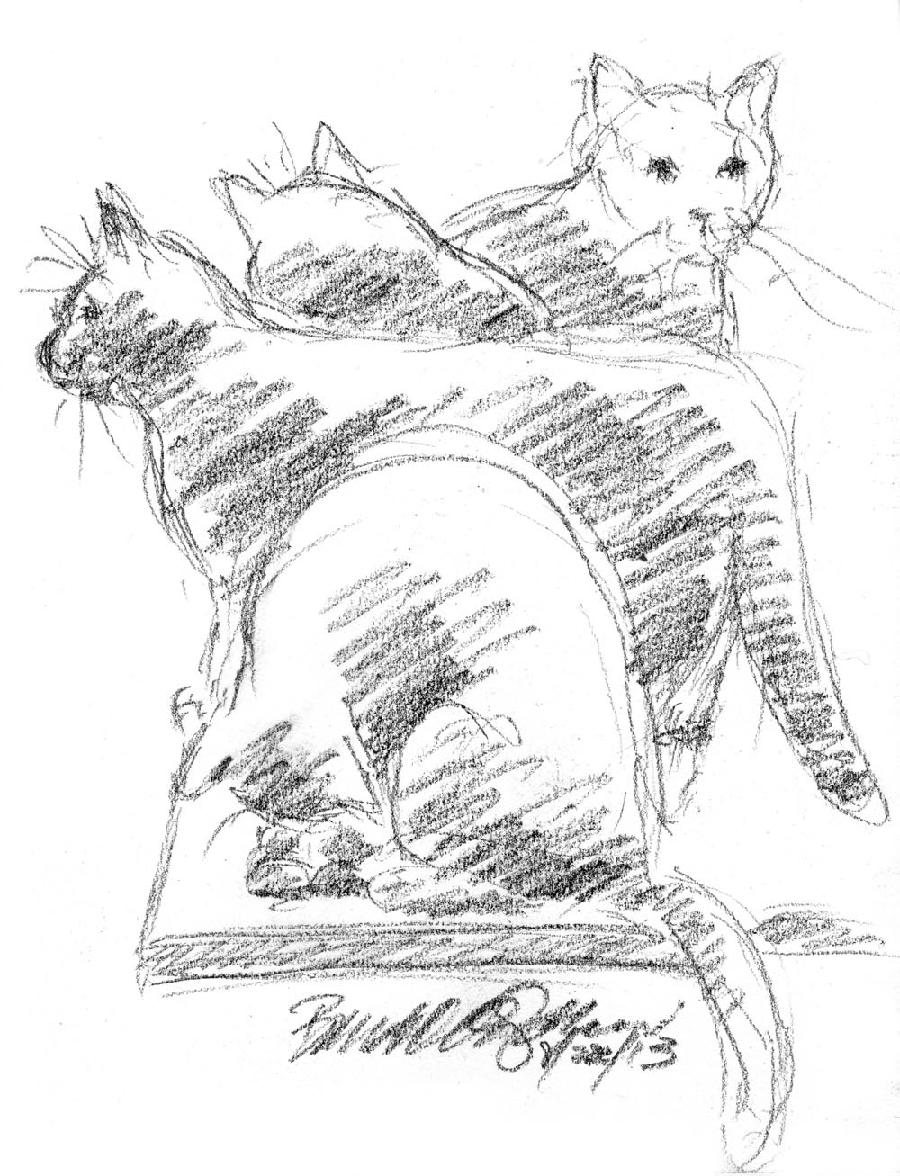 charcoal sketch of four cats