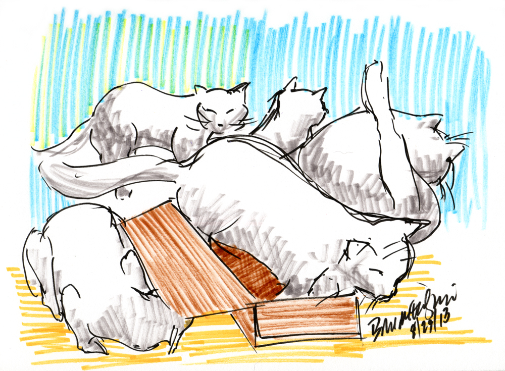 "Five Cats and One Box", brush markers, 6.5" x 9" © Bernadette E. Kazmarski