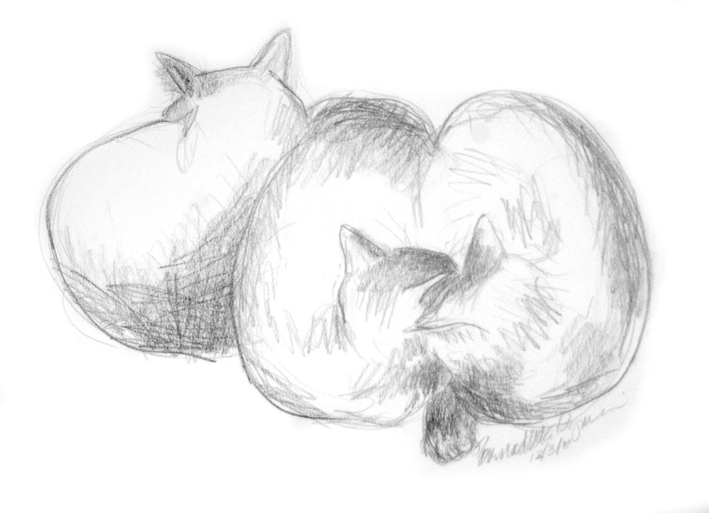 pencil sketch of three cats