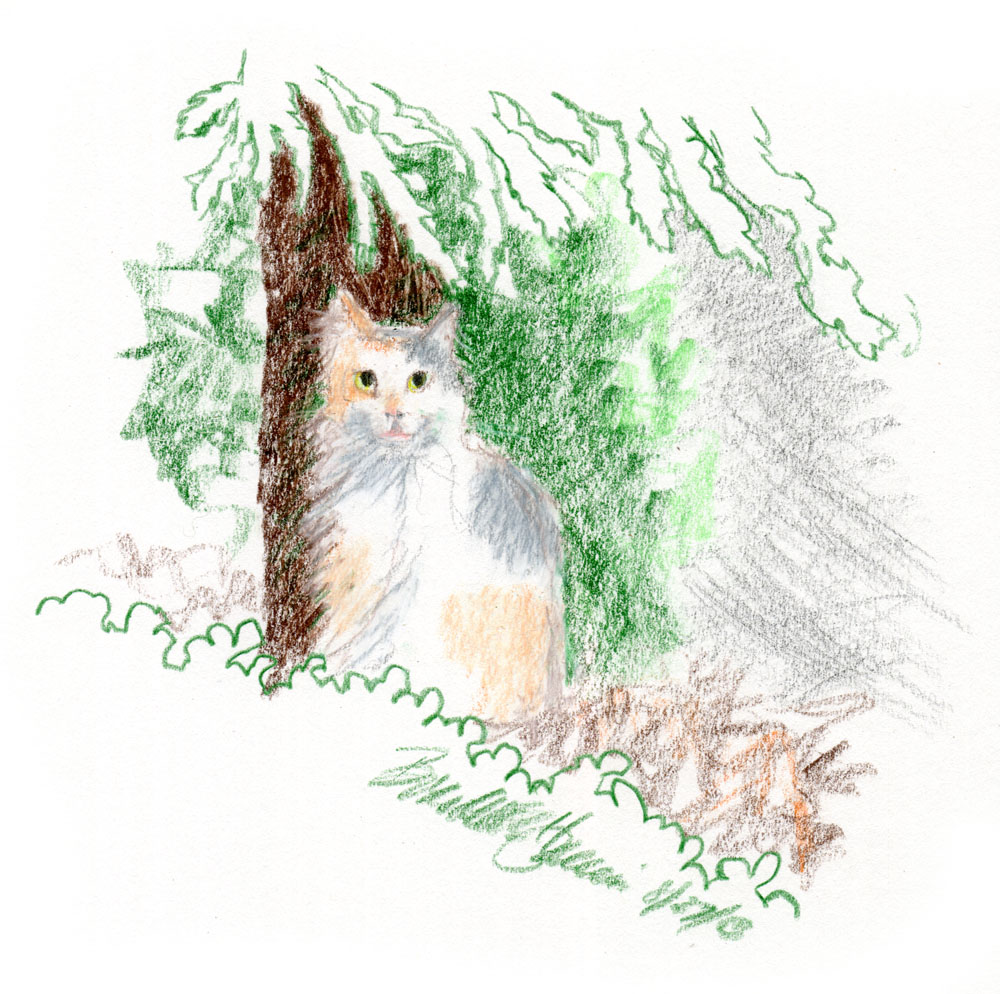 colored pencil illustration of cat under tree